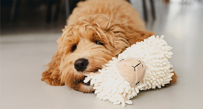 slider binnen spelen groot