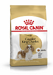 Royal Canin Hondenvoer Cavalier King Charles Adult 3 kg