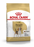 Royal Canin Hondenvoer Beagle Adult 12 kg