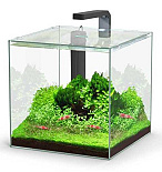 Aquatlantis aquarium Kubus 22 ltr incl LED