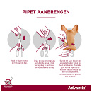 Advantix 250 6 pipetten