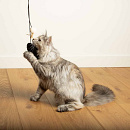 D&D Kattenspeelgoed Bouncy Belle