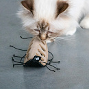 D&D I Love Happy Cats Kattenspeelgoed Chuck