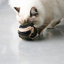 D&D I Love Happy Cats Snackbal Simon