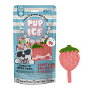 Pup Ice Hondenijsje Fruit Lollie Aardbei 3 st