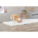 TRIXIE Hondenspeelgoed Draak aan Touw 55 cm