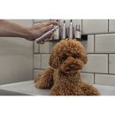 Frenky Lewis Car & Pillow Spray