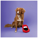 Coockoo Hondenspeelgoed Happy Hangry Rood