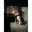 Thule Hondentuig Cappy