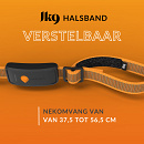 Weenect XT GPS Tracker met Julius-K9 Halsband Oranje