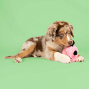 Coockoo Hondenspeelgoed Bouncy Buddy Roze