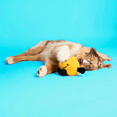 Coockoo Hondenspeelgoed Bouncy Buddy Geel