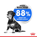 Royal Canin Hondenvoer Light Weight Care Mini 3 kg