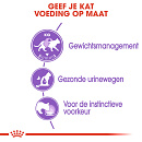 Royal Canin Kattenvoer Sterilised in Jelly <br>12 x 85 gr