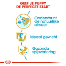 Royal Canin Hondenvoer Mini Schnauzer Puppy 1,5 kg