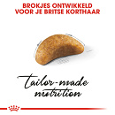 Royal Canin Kattenvoer British Shorthair Kitten 2 kg