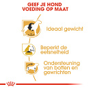 Royal Canin Hondenvoer Beagle Adult 3 kg