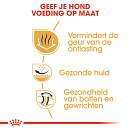 Royal Canin Hondenvoer Bulldog Adult 3 kg