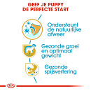 Royal Canin Hondenvoer Labrador Retriever Puppy 3 kg