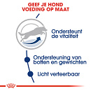 Royal Canin Hondenvoer Maxi Adult 5+ 4 kg