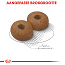 Royal Canin Hondenvoer Maxi Ageing 8+ 3 kg