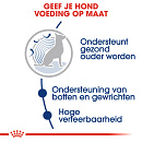 Royal Canin Hondenvoer Maxi Ageing 8+ 3 kg