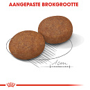 Royal Canin Hondenvoer Medium Adult 7+ 4 kg