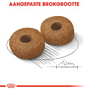 Royal Canin Hondenvoer Medium Ageing 10+<br> 3 kg