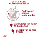 Royal Canin Hondenvoer Medium Ageing 10+<br> 3 kg