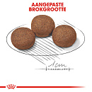 Royal Canin Hondenvoer Medium Puppy 15 kg