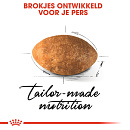 Royal Canin Kattenvoer Persian Adult 4 kg