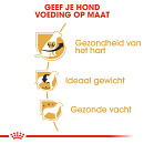 Royal Canin Hondenvoer Cavalier King Charles Adult 3 kg