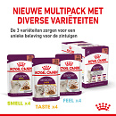 Royal Canin Kattenvoer Sensory in gravy <br>12 x 85 gr