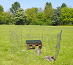 Draadren 6-delig Verzinkt