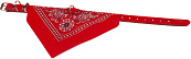 Halsband met zakdoek rood