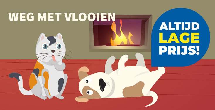 Bescherm je hond of kat tegen vlooien!