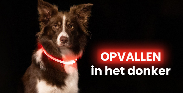 Veilig naar buiten in het donker