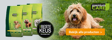 slider pc algemeen 475x170 labradoodle