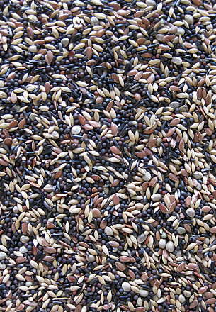 Deli Nature Premium Sijsjes 4 kg