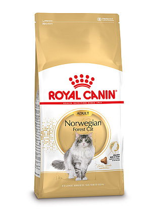 Royal Canin Kattenvoer Norwegian Forest Cat Adult 400 gr