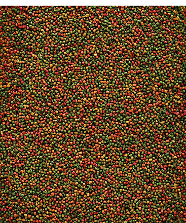 Versele-Laga <br>NutriBird C15 1 kg