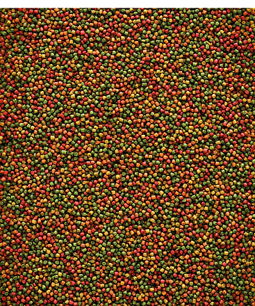 Versele-Laga <br>NutriBird C19 3 kg