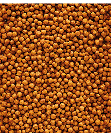 Versele-Laga <br>NutriBird F16 800 gr