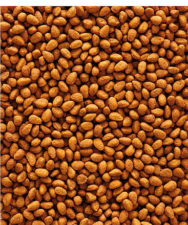 Versele-Laga NutriBird G14 Original 10 kg