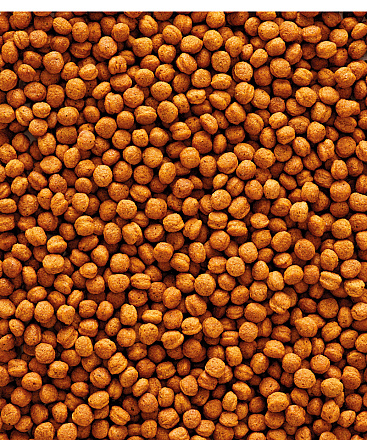 Versele-Laga <br>NutriBird T16 10 kg