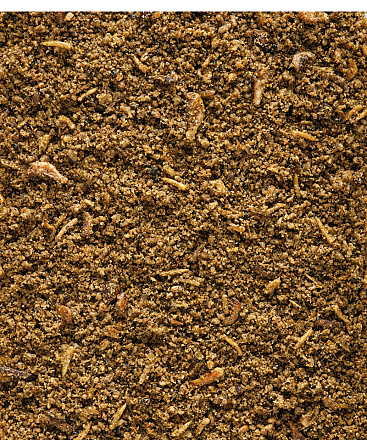 Versele-Laga NutriBird Insect Patee 250 gr