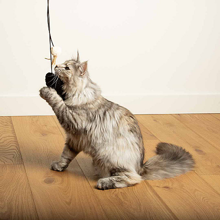 D&D Kattenspeelgoed Bouncy Belle