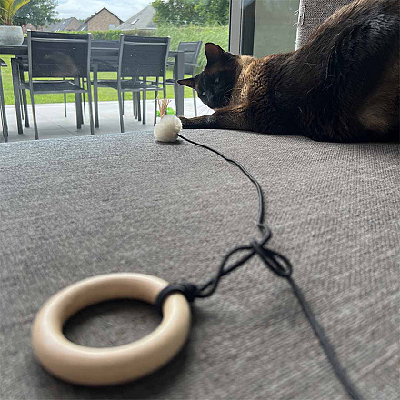 D&D Kattenspeelgoed Bouncy Bix