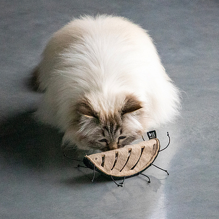 D&D I Love Happy Cats Kattenspeelgoed Chuck