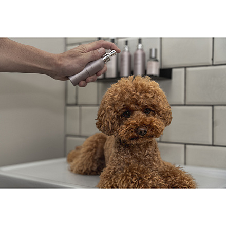 Frenky Lewis Car & Pillow Spray